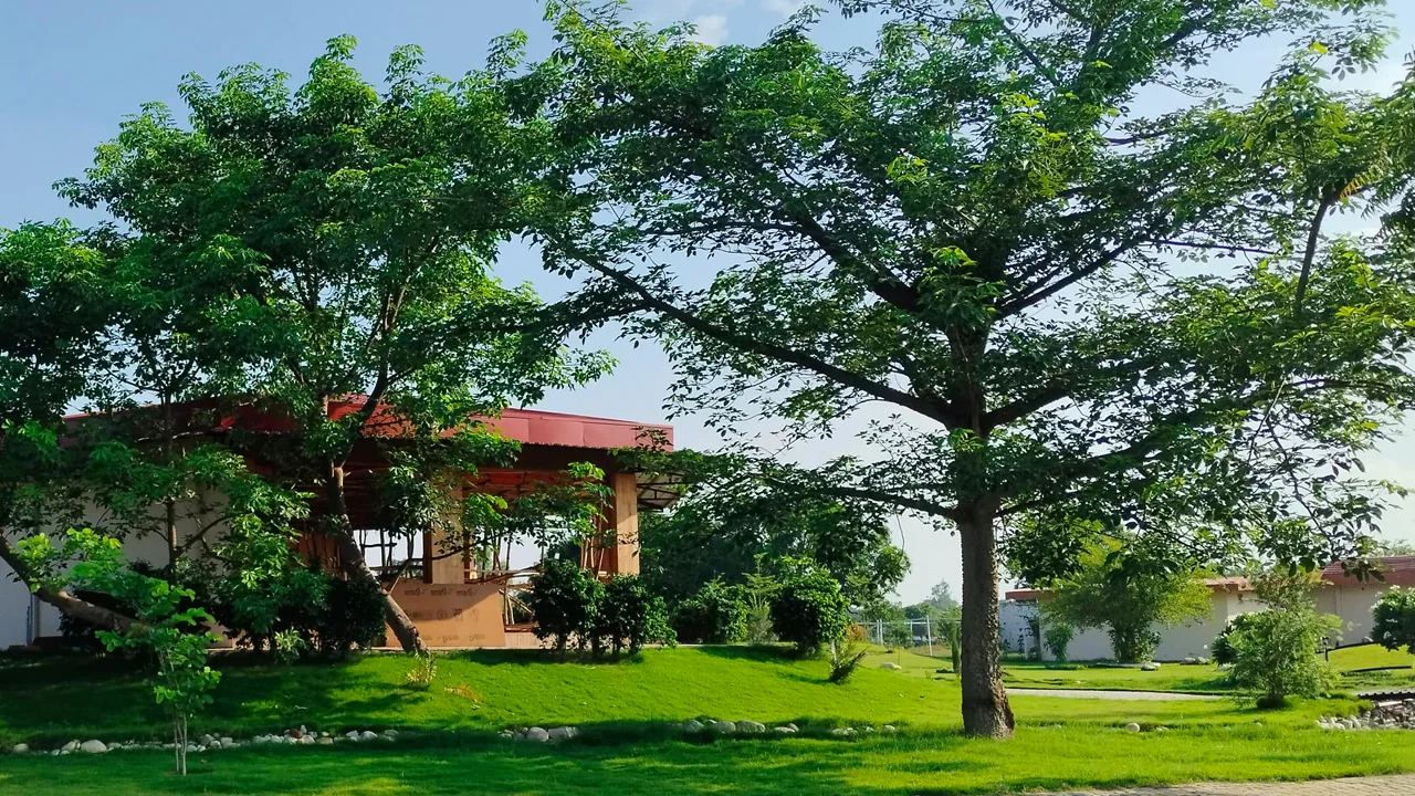 Home site office image 22